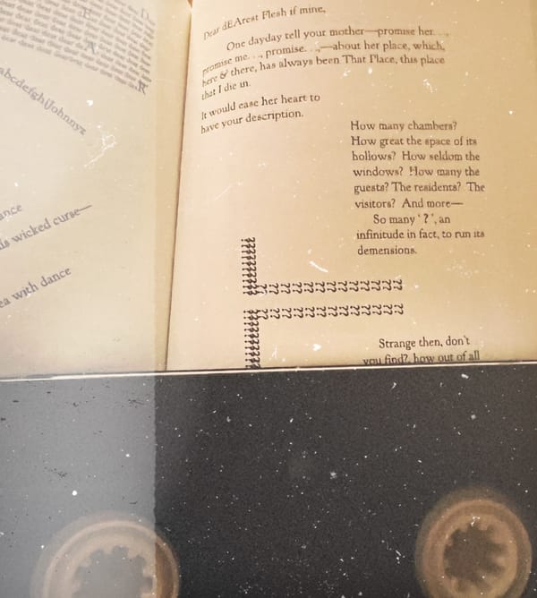 House of Leaves Recap 4 and 5/5: Build a Casket for My Tears: 98